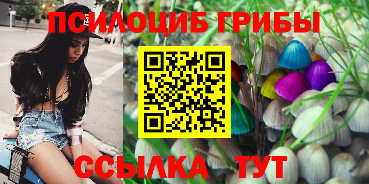 Галлюциногенные грибы мухоморы  Псилоцибиновые грибы мицелий  Йошкар-Ола  Вход с VPN 